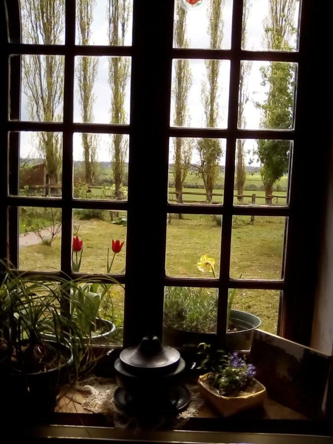 La Ferme Des Vignes Acomodação com café da manhã Hotot-en-Auge Exterior foto