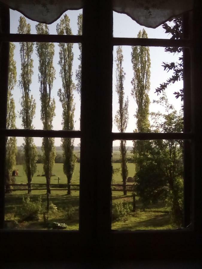 La Ferme Des Vignes Acomodação com café da manhã Hotot-en-Auge Exterior foto